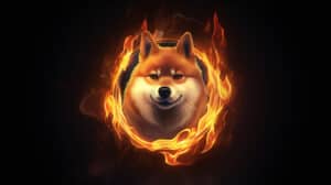 Dogecoin burning in a ring of fire