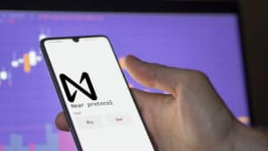 An investor analyzing the near protocol coin