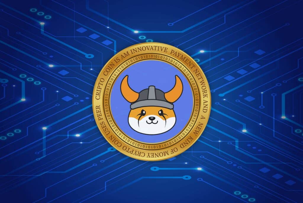 an image of the floki coin virtual currency on a digital background. 3d illustrations.