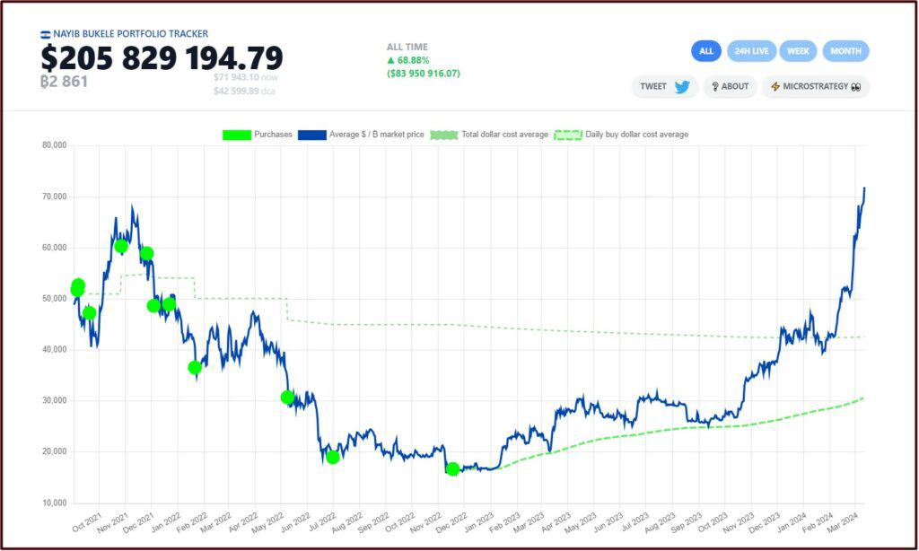 Nayib Bukele Portfolio Tracker
